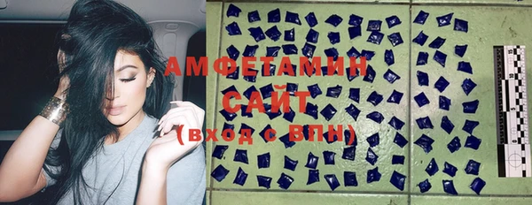 ПСИЛОЦИБИНОВЫЕ ГРИБЫ Алзамай